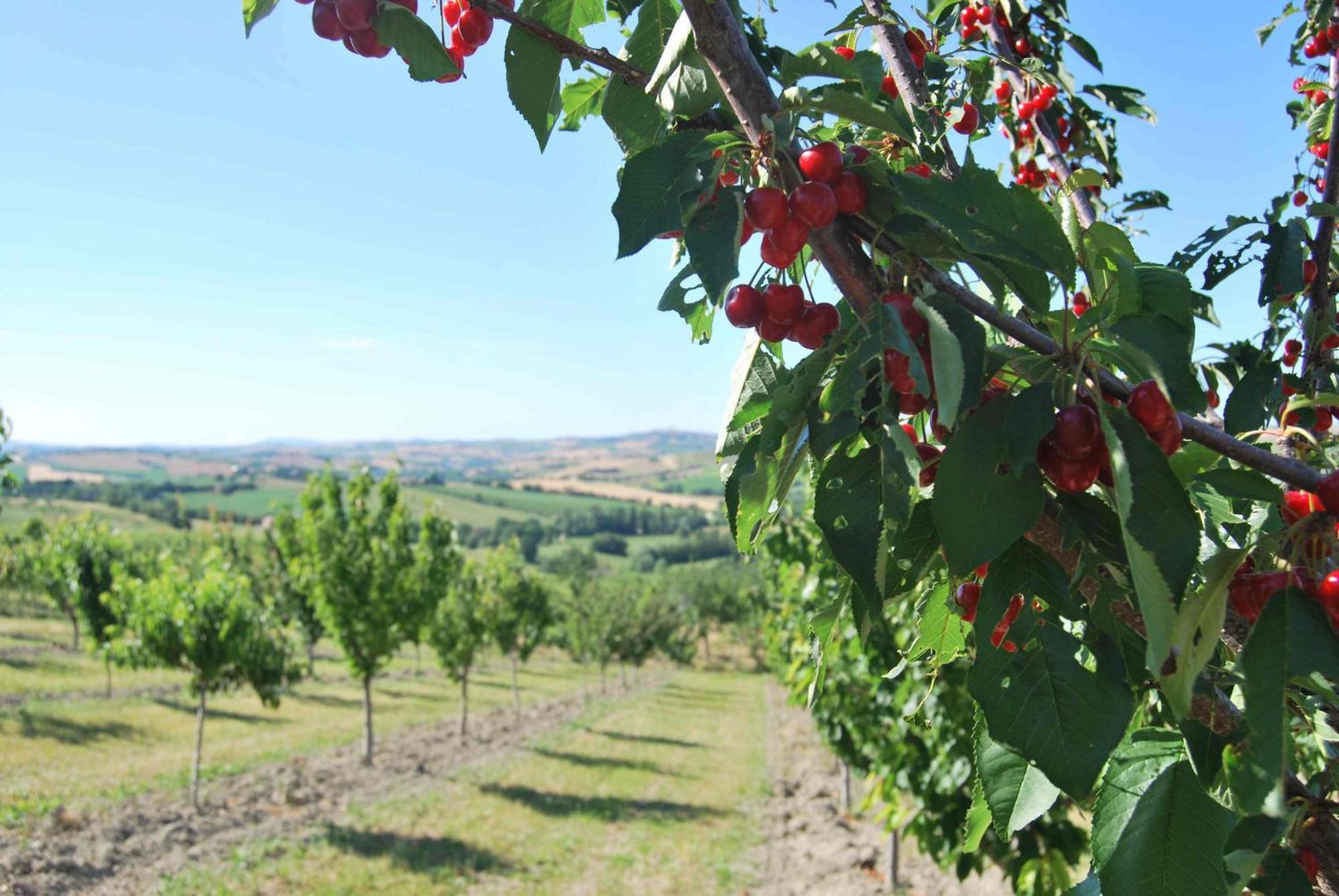 Cadabò Montecarotto Exterior foto